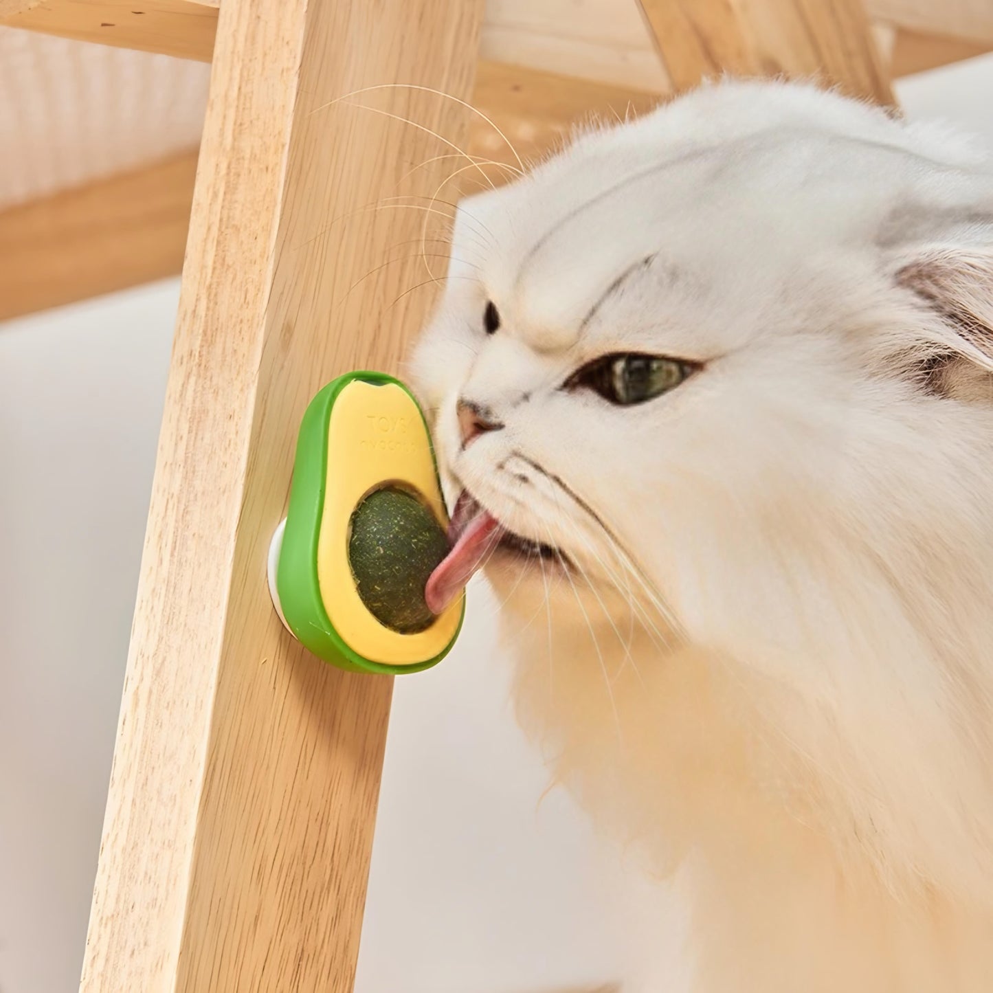 ✨ Juguete con Pelota de Catnip para Gatos ✨