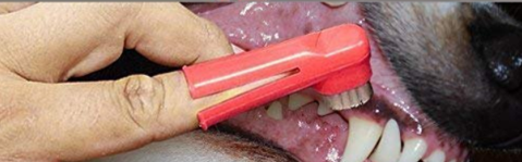 Kit de Limpieza Dental para Mascotas